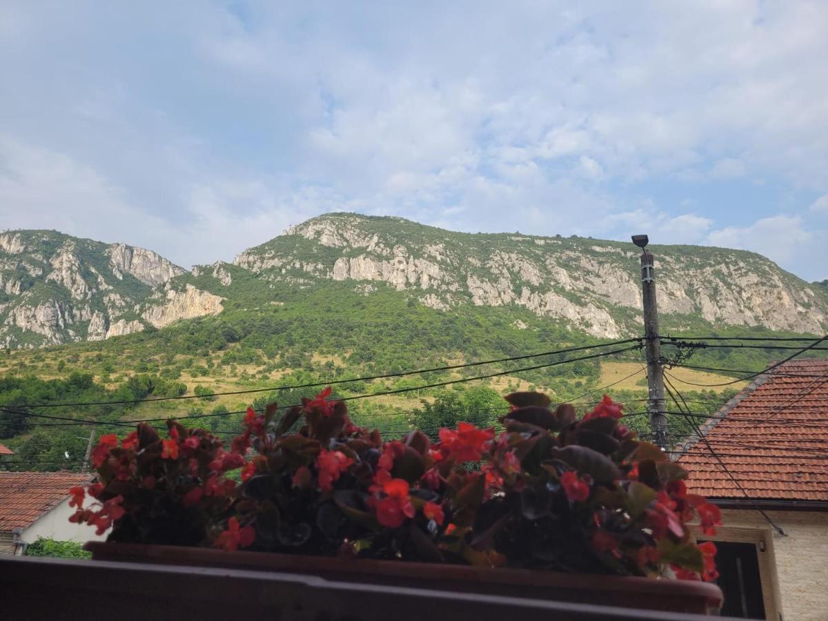 Casa Basu Villa Băile Herculane Eksteriør billede