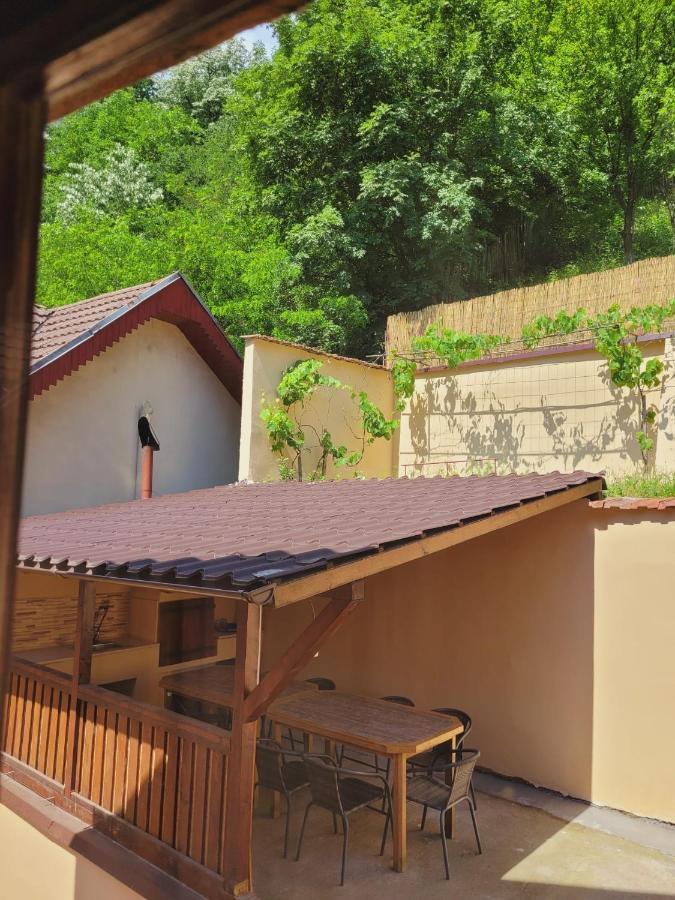 Casa Basu Villa Băile Herculane Eksteriør billede